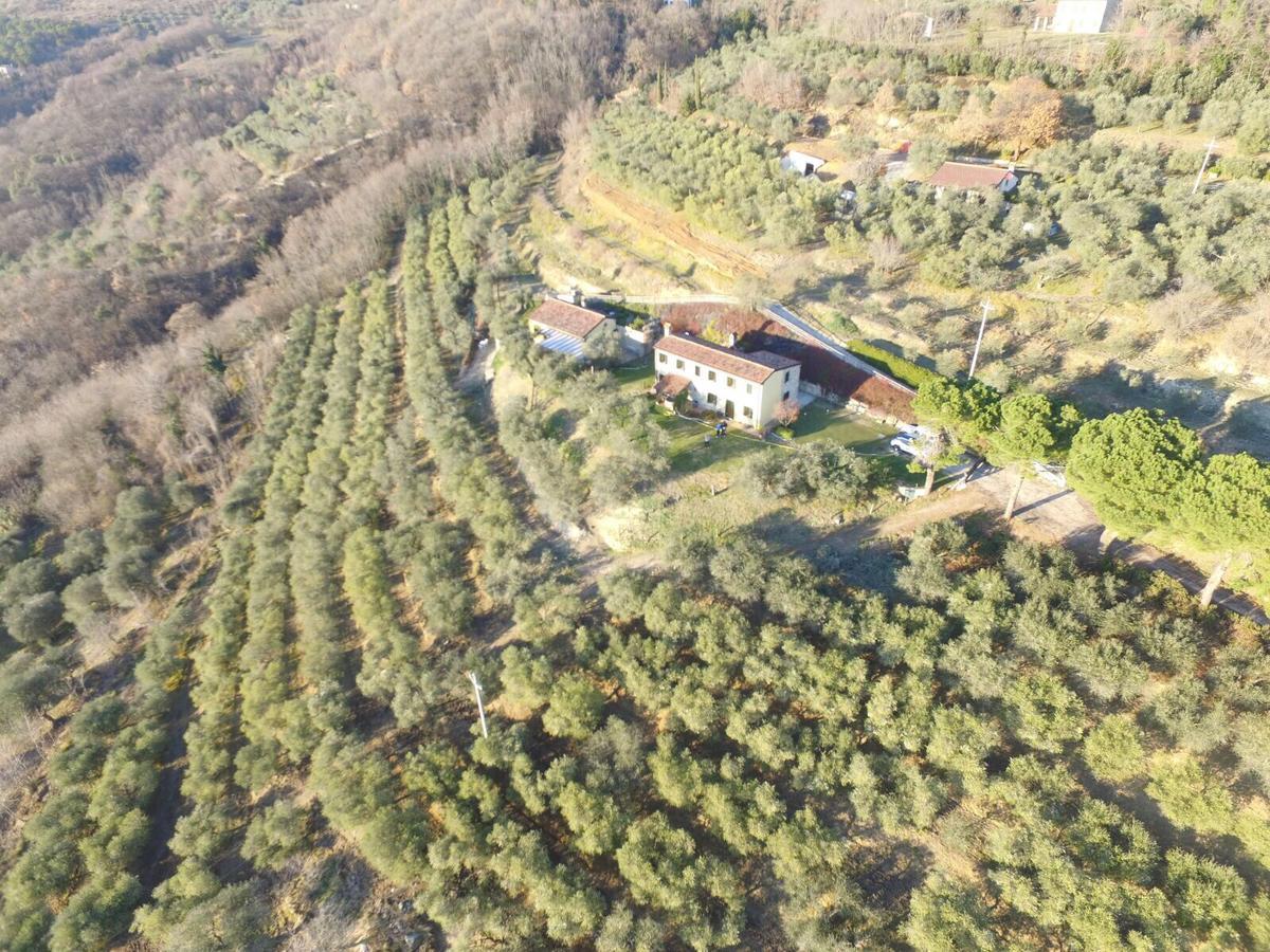 Holiday House Petrarca Arquà Petrarca Extérieur photo